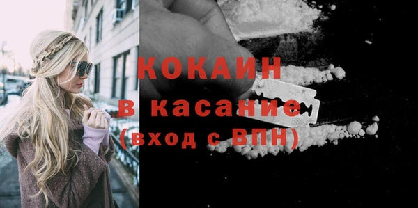 шишки Алексин