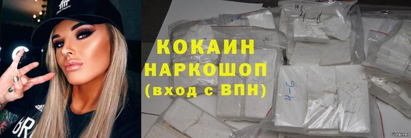 шишки Алексин