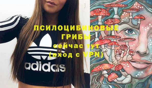 бошки Алзамай