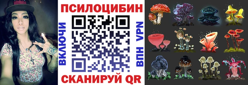 мориарти формула  Можга  Галлюциногенные грибы MAGIC MUSHROOMS 