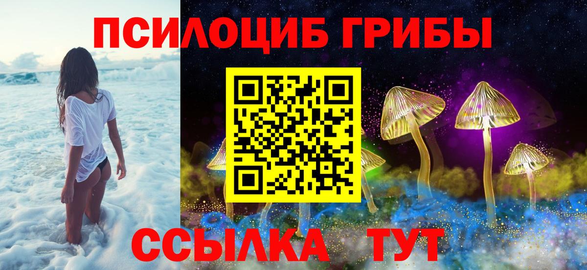 Псилоцибиновые грибы MAGIC MUSHROOMS Можга