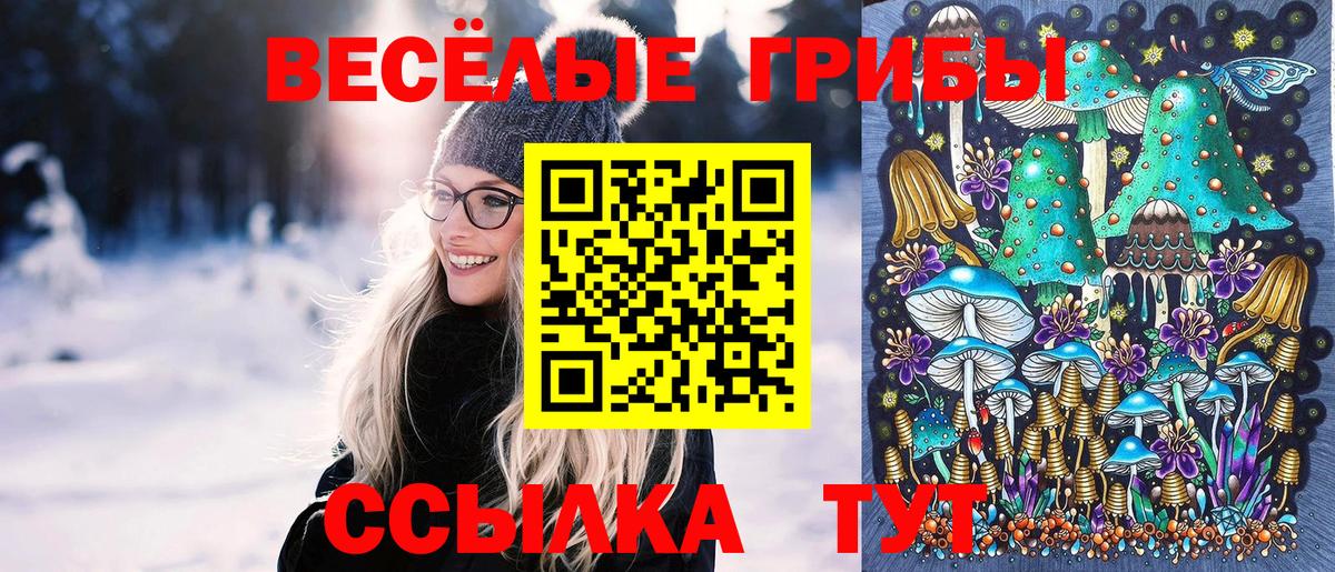 Можга  Галлюциногенные грибы GOLDEN TEACHER  Вход с VPN  Псилоцибиновые грибы Psilocybine cubensis 